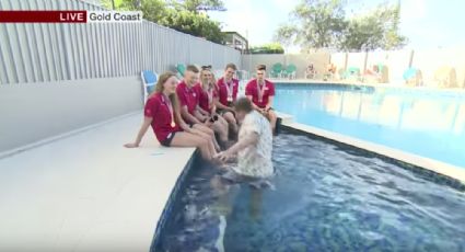 Reportero cae a piscina mientras entrevista a nadadores (VIDEO)