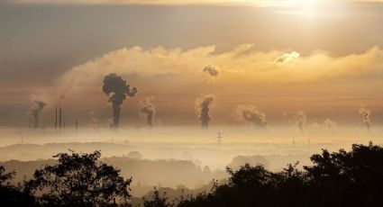 Contaminación del aire: cuarta causa de muerte a nivel mundial