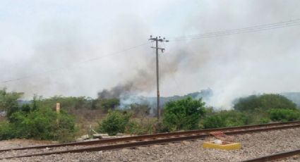 Incendio consume zona de manglar en Lázaro Cárdenas, Michoacán