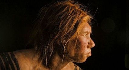 Comprueban ventajas de la cara antiestética del hombre neandertal 