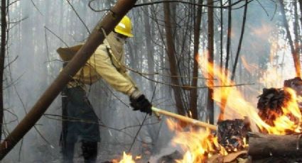 Anuncia Desarrollo Sustentable disminución de incendios forestales en Morelos