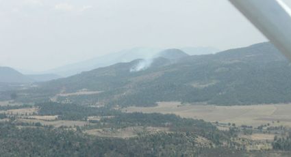 Controlan incendio forestal en Nahuatzen, Michoacán