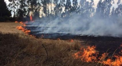 En temporada de incendios forestales se han registrado 125 en Guerrero