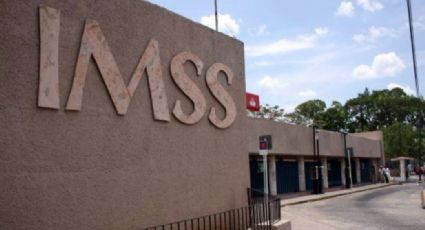 En Abril se generaron 87 mil 109 empleos en México: IMSS