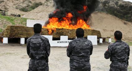 Autoridades destruyen cerca de dos toneladas de estupefacientes en Chihuahua