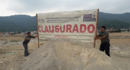 Clausura Profepa predio en los humedales de montaña, en Chiapas