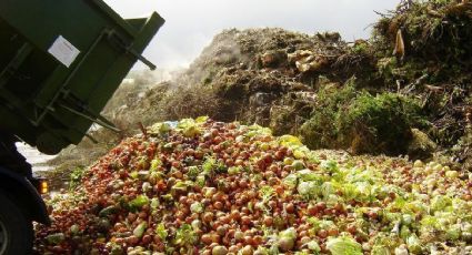 Canadá, EEUU y México trabajan para disminuir el desperdicio de alimentos