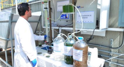 Abre UNAM planta de tratamiento de agua por captación de CO2 (FOTOS)