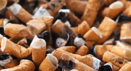 Universitario elabora celulosa para fabricar papel a partir de colillas de cigarro