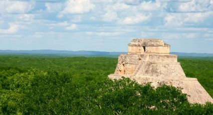 México y España planean creación de un pulmón verde para el planeta (FOTOS)