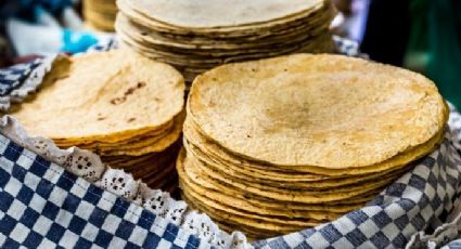 Crea la UNAM supertortillas contra la obesidad y la diabetes (FOTOS)