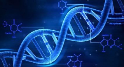 En diez años se logrará la obtención sintética del genoma humano: expertos