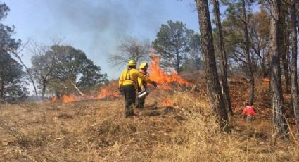 En Edomex, se registran mil 147 incendios forestales en lo que va del año