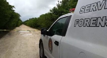 Tres embolsados son encontrados en Quintana Roo 