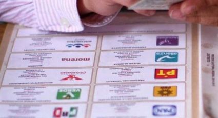 Pide PVEM incluir figuras en campaña 'vota sencillo'