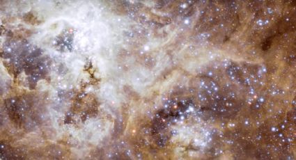 Descubren nuevas estrellas masivas en la galaxia (VIDEO)