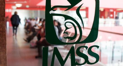 Reporta IMSS más de 19.8 millones de afiliados al mes de junio