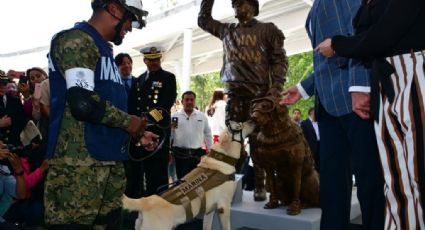 Develan estatua de perrita 'Frida' en Puebla (FOTO)