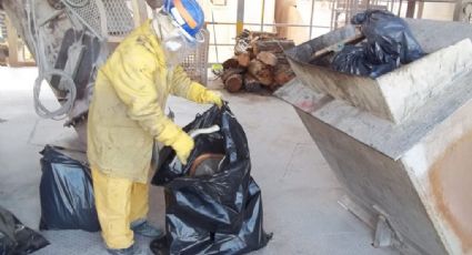 Profepa incinera más de 200 partes de fauna silvestre decomisadas en Morelos 