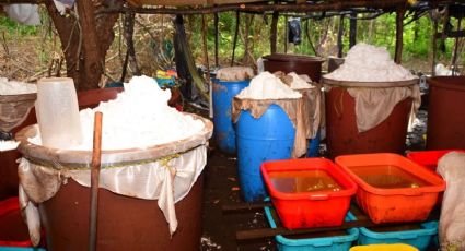 Decomisa histórico de Semar cerca de 50 toneladas de droga Crystal