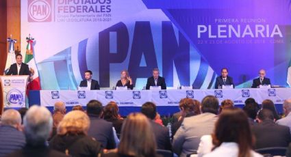Zepeda insiste que coordinaciones de bancadas del PAN 'no son acuerdos en los oscuro'