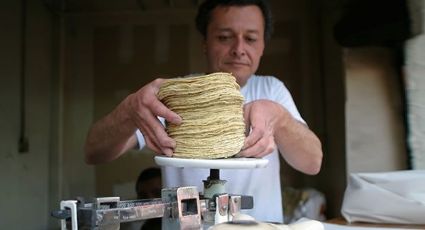 Estudiantes de la UAM crean sistema para facilitar la preparación de tortillas.
