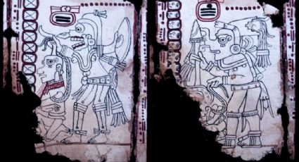 Códice Maya de México, el manuscrito más antiguo de América 