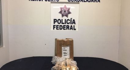 PF decomisa cocaína oculta en bolillos (VIDEO) 