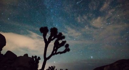 Se aproxima lluvia de estrellas de las Perseidas (FOTOS)