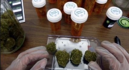 Aprueba condado de Broward, Florida el uso medicinal de la marihuana