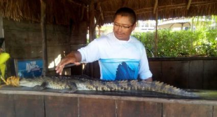 Pescador captura a cocodrilo de metro y medio en la Riviera Maya