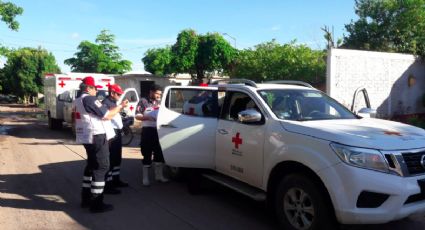 Cruz Roja Mexicana envía otras 50 toneladas de ayuda a Sinaloa 