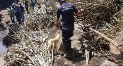'Perros policía' buscan a 6 desparecidos en Peribán; van 8 muertos 