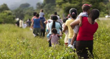 DIF-CDMX deberá informar sobre programas de protección a niños migrantes: INAI