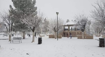 Se registran nevadas en municipios de Sonora (FOTOS)