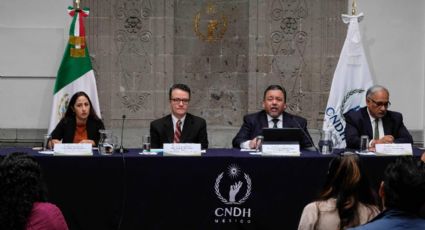 CNDH dirige Recomendación por falta de protección de la vaquita marina