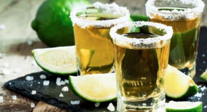 Contribuye UNAM con técnicas para autentificar tequilas