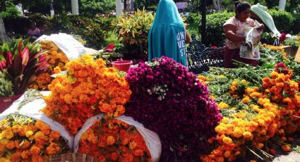Ventas por celebraciones en Día de Muertos aumentarán hasta 300% : Canacope