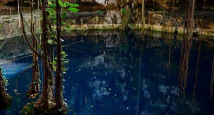 Colombiano muere ahogado en cenote de Yucatán