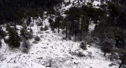 Protección Civil de Durango emite recomendaciones por temporada de frío