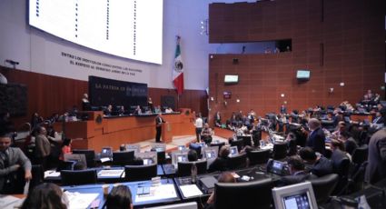 Senadores de oposición buscan vía jurídica para impugnar elección de Rosario Piedra
