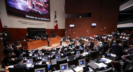 Oposición en el Senado presenta controversia contra Ley de Austeridad