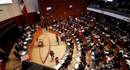 Senado elige a Rosario Piedra Ibarra como presidenta de CNDH