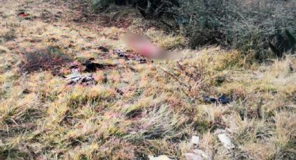 Atleta encuentra cadáver semidevorado en Álvaro Obregón