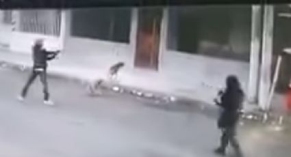 Perros defienden a mujer de asalto a mano armada (VIDEO)
