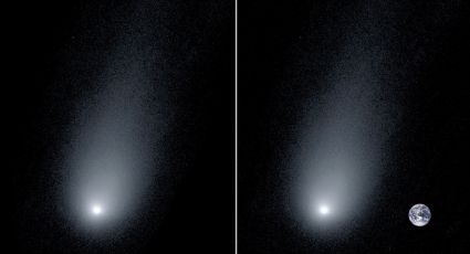 Cometa Borísov se acerca a la Tierra a una velocidad "increíble" (FOTOS)