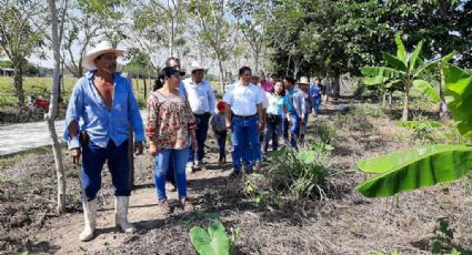 Grupos originarios de Chiapas se integran al programa Sembrando Vida