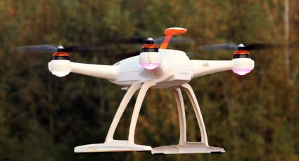 "Drones" serán aliados para la preservación de la fauna