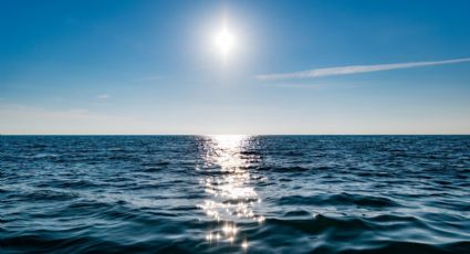 Océanos absorben 31% de dióxido de carbono generado por el hombre