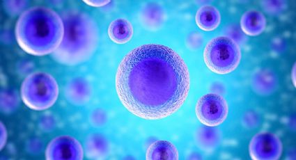Científicos curan heridas con biotecnología basada en células madre